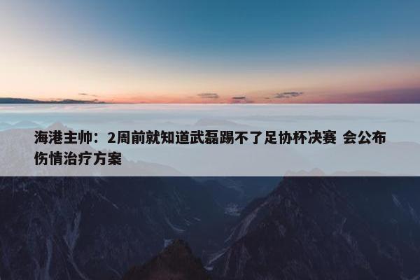 海港主帅：2周前就知道武磊踢不了足协杯决赛 会公布伤情治疗方案