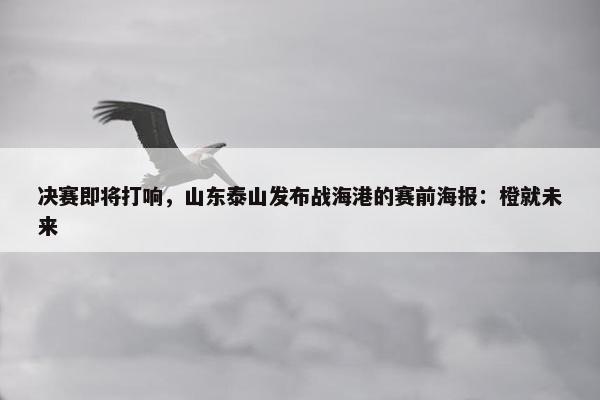 决赛即将打响，山东泰山发布战海港的赛前海报：橙就未来