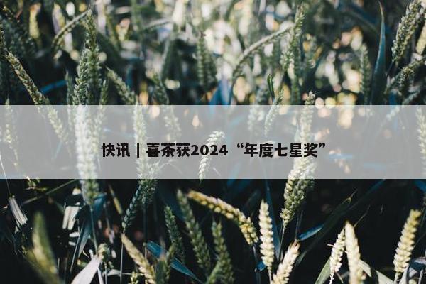 快讯｜喜茶获2024“年度七星奖”