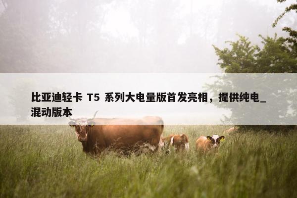 比亚迪轻卡 T5 系列大电量版首发亮相，提供纯电_混动版本