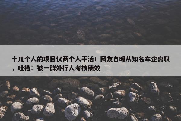 十几个人的项目仅两个人干活！网友自曝从知名车企离职，吐槽：被一群外行人考核绩效