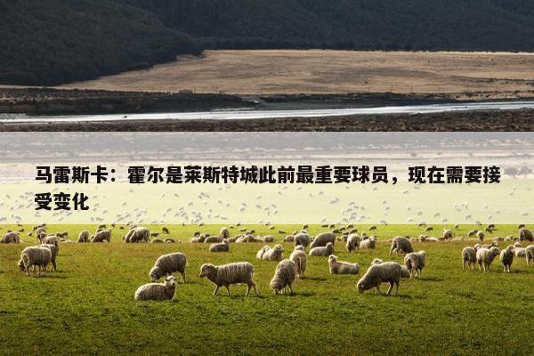 马雷斯卡：霍尔是莱斯特城此前最重要球员，现在需要接受变化