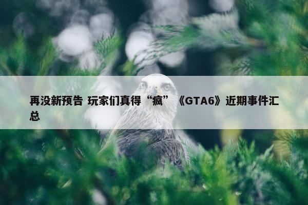 再没新预告 玩家们真得“疯”《GTA6》近期事件汇总