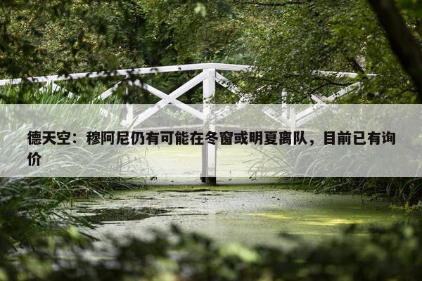 德天空：穆阿尼仍有可能在冬窗或明夏离队，目前已有询价