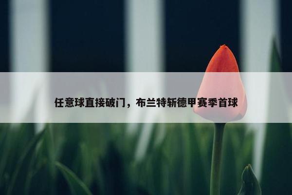 任意球直接破门，布兰特斩德甲赛季首球