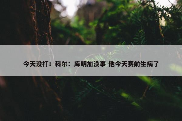 今天没打！科尔：库明加没事 他今天赛前生病了