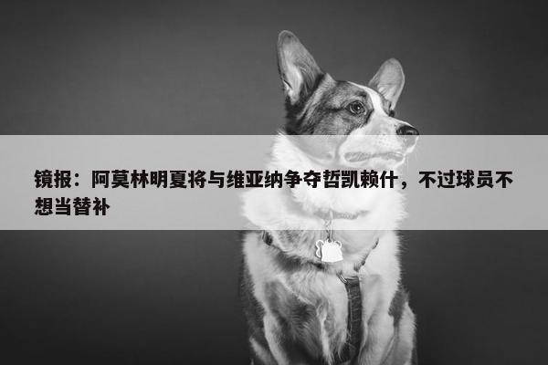 镜报：阿莫林明夏将与维亚纳争夺哲凯赖什，不过球员不想当替补