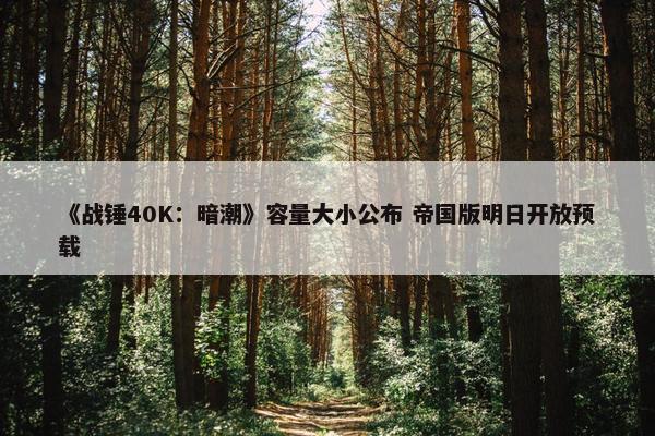 《战锤40K：暗潮》容量大小公布 帝国版明日开放预载