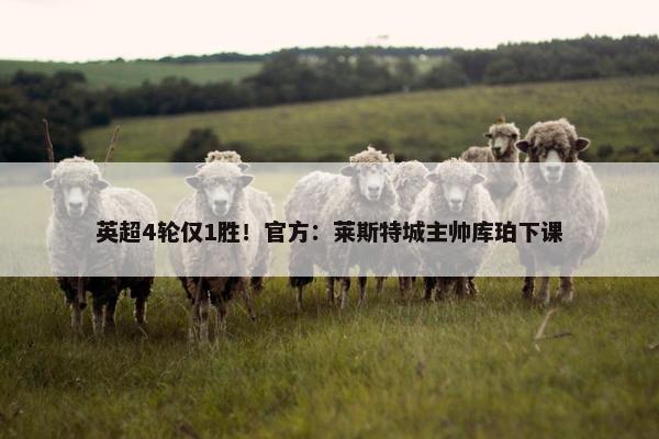 英超4轮仅1胜！官方：莱斯特城主帅库珀下课