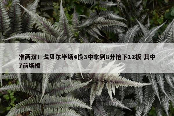 准两双！戈贝尔半场4投3中拿到8分抢下12板 其中7前场板