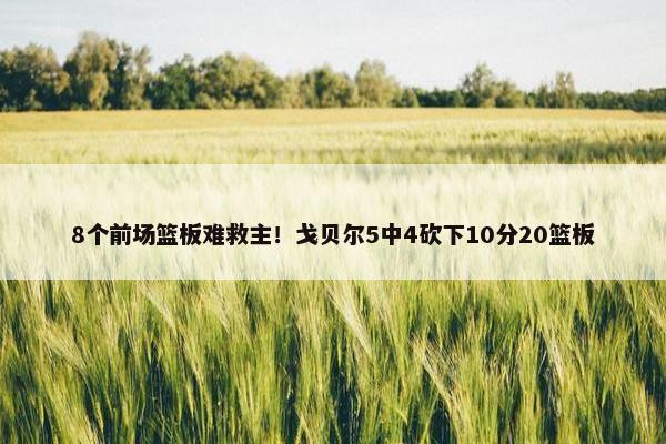 8个前场篮板难救主！戈贝尔5中4砍下10分20篮板