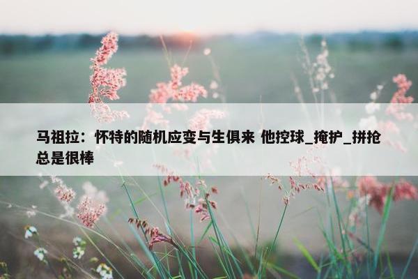 马祖拉：怀特的随机应变与生俱来 他控球_掩护_拼抢总是很棒