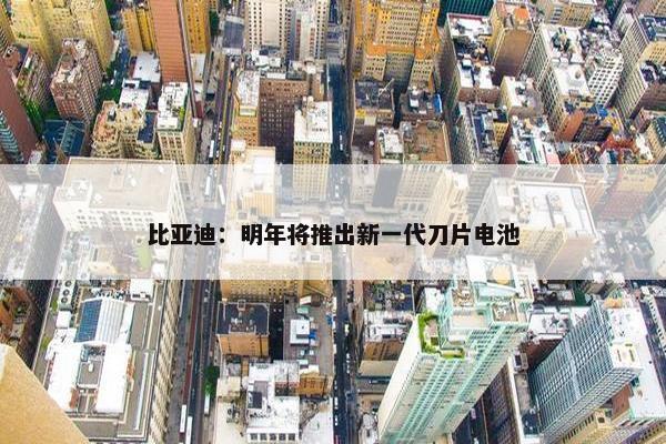 比亚迪：明年将推出新一代刀片电池