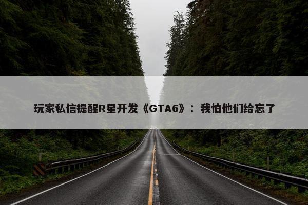 玩家私信提醒R星开发《GTA6》：我怕他们给忘了