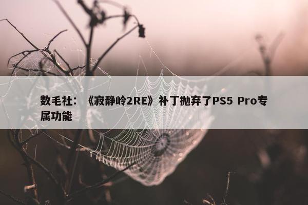 数毛社：《寂静岭2RE》补丁抛弃了PS5 Pro专属功能