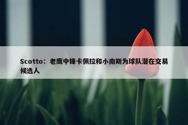 Scotto：老鹰中锋卡佩拉和小南斯为球队潜在交易候选人