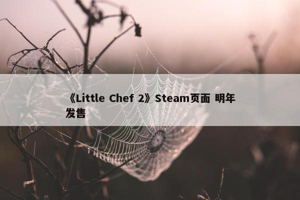 《Little Chef 2》Steam页面 明年发售