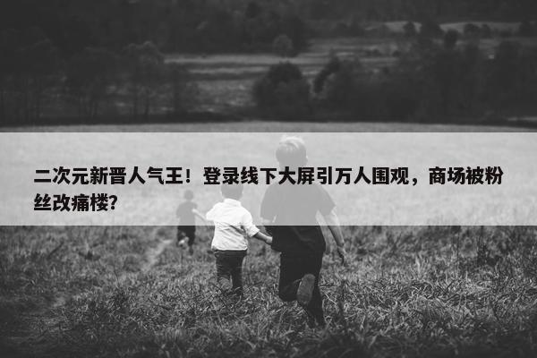 二次元新晋人气王！登录线下大屏引万人围观，商场被粉丝改痛楼？