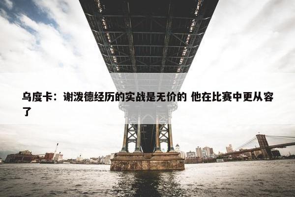 乌度卡：谢泼德经历的实战是无价的 他在比赛中更从容了