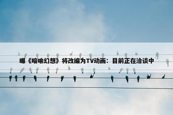 曝《暗喻幻想》将改编为TV动画：目前正在洽谈中