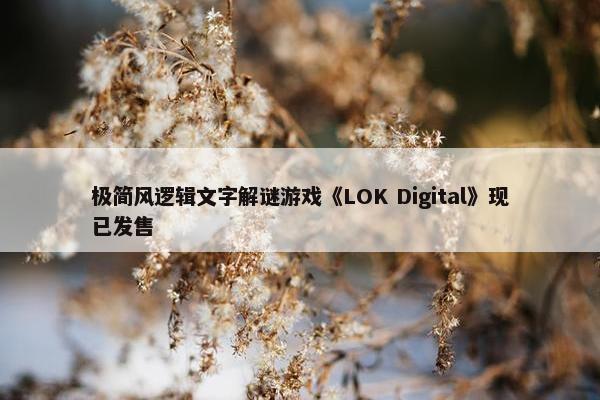 极简风逻辑文字解谜游戏《LOK Digital》现已发售