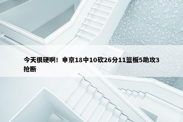 今天很硬啊！申京18中10砍26分11篮板5助攻3抢断