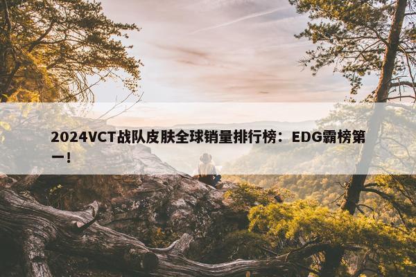 2024VCT战队皮肤全球销量排行榜：EDG霸榜第一！