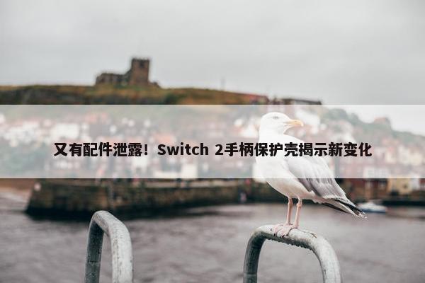 又有配件泄露！Switch 2手柄保护壳揭示新变化