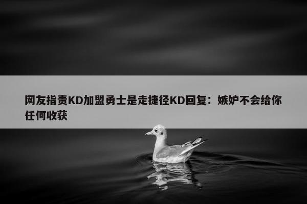 网友指责KD加盟勇士是走捷径KD回复：嫉妒不会给你任何收获